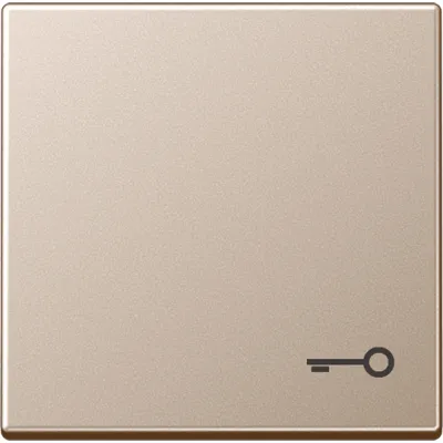 JUNG Wippe Schalter A590TCH | Symbol Tür | champagner glänzend | Duroplast | 55x55 mm | IP44 | für Taster