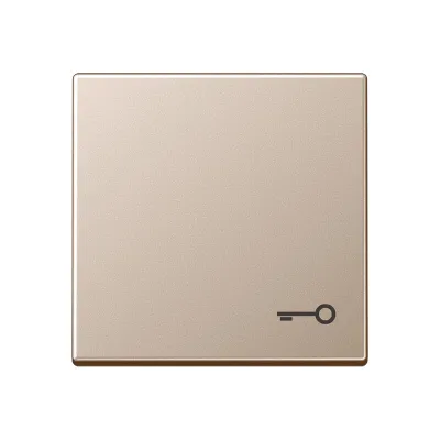 JUNG Wippe Schalter A590TCH | Symbol Tür | champagner glänzend | Duroplast | 55x55 mm | IP44 | für Taster
