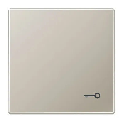 Jung Wippe Symbol TÜR eds für Taster ES 2990 T