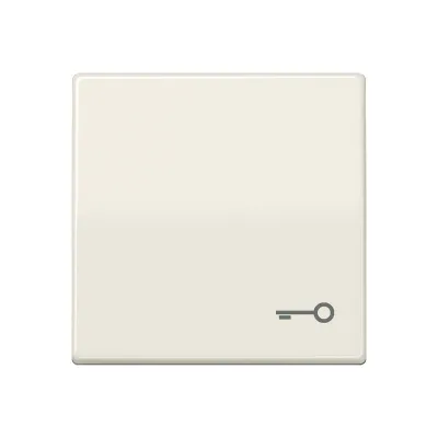 JUNG Wippe AS591T | Schalter/Taster Symbol Tür | Duroplast glänzend | IP44 | Zentralplatte | 55x55 mm | cremeweiß