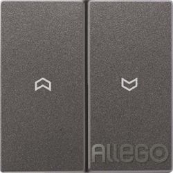 Jung Wippe Symbole anth für Taster AL 2995 P AN