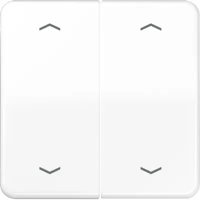 JUNG Wippe CD595MPWW | Jalousie-Taster 2-fach | Pfeilsymbole | Duroplast glänzend | alpinweiß RAL 9010