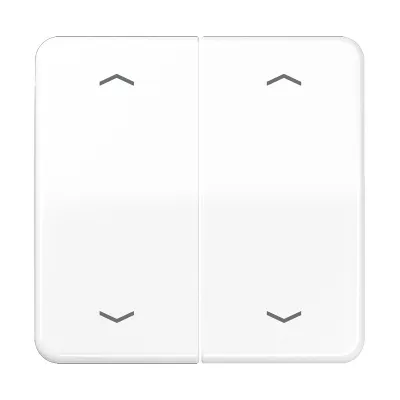 JUNG Wippe CD595MPWW | Jalousie-Taster 2-fach | Pfeilsymbole | Duroplast glänzend | alpinweiß RAL 9010