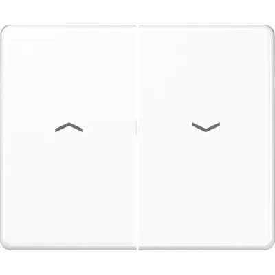 Jung Wippe Symbole aws für Taster SL 595 P WW