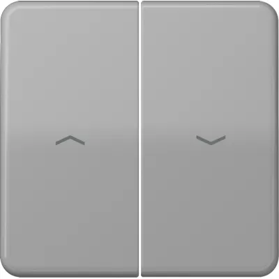 Jung Wippe CD595PGR für Jalousieschalter und -taster | Pfeilsymbole | 2-teilig | Duroplast glänzend | IP44 | grau