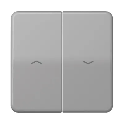 Jung Wippe CD595PGR für Jalousieschalter und -taster | Pfeilsymbole | 2-teilig | Duroplast glänzend | IP44 | grau