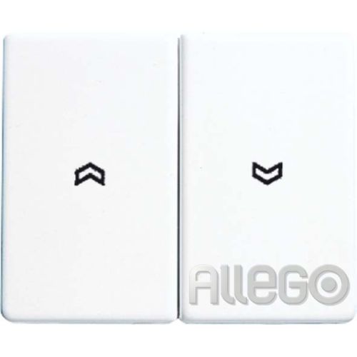 Bild: Jung Wippe Symbole sw für Taster SL 595 P SW