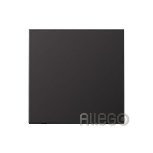 Bild: Jung Wippe Taster BA 1fach AL 2990 D