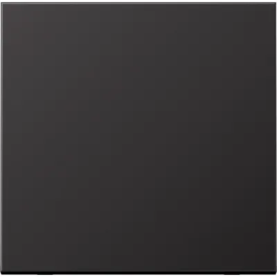 Jung Wippe Schalter/Taster AL2990D | Aluminium matt lackiert | einteilig | Klemmbefestigung | IP44 | dark