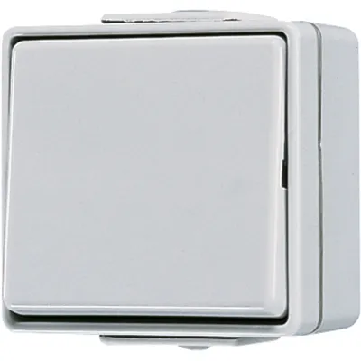 Jung Kreuzschalter Wippschalter 607W WG600 | Aufputz | IP44 | beleuchtbar LED | 10AX 250V | Duroplast | grau