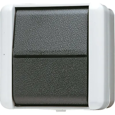 JUNG Wippschalter Kreuz 807W WG800 | Kreuzschalter | IP44 Aufputz | 10AX 250V | LED beleuchtet | Thermoplast | grau