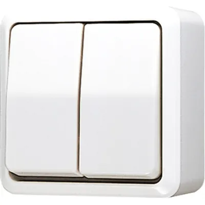 JUNG Serienschalter 605AWW AP600 | Wippschalter 2-fach | Aufputz | 10AX 250V | beleuchtet | Duroplast | IP20 | alpinweiß