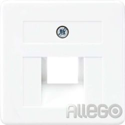 Jung Zentralplatte für IAE/UAE-Dose 169-1 UAE WW
