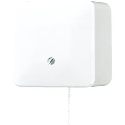 JUNG Zug-Wechselschalter 606ZAWW | Aufputz | Universal Zugschalter | 10AX 250V | Duroplast | IP20 | alpinweiß