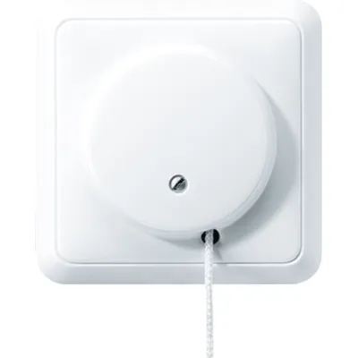 JUNG Zug-Wechselschalter 5506ZUWW | Zugschnur | Unterputz | 10AX 250V | volle Abdeckplatte | Duroplast | alpinweiß