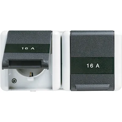 JUNG SCHUKO Zweifach-Steckdose 8220 NAWTS | Aufputz | IP44 | Klappdeckel | waagerecht | grau RAL 7035 | 16A 250V