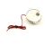 Bild: Kaffeemaschinen-Motor Severin 2579048 Antrieb
