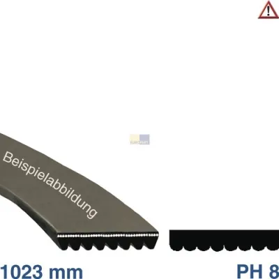 Keilrippenriemen 1023PH8E wie Foron 416004101 für Waschmaschine EFS Gruppe