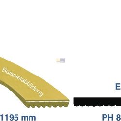 Keilrippenriemen 1195 PH 8 E Indesit C00082318 Original