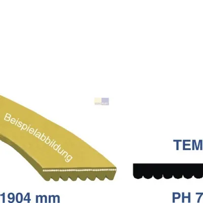 Keilrippenriemen 1904 PH 7 E wie Ignis 481935818156 für Trockner 09452657