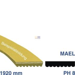 Keilrippenriemen 1920 PH 8 E wie Indesit C00770302 für Trockner