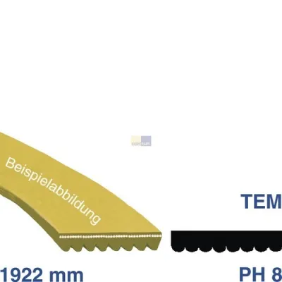 Keilrippenriemen 1922 PH 8 E wie EBD 416001300 für Trockner