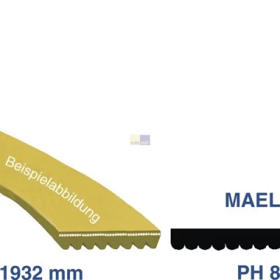 Keilrippenriemen 1932 PH 8 E wie Indesit C00770336 für Trockner
