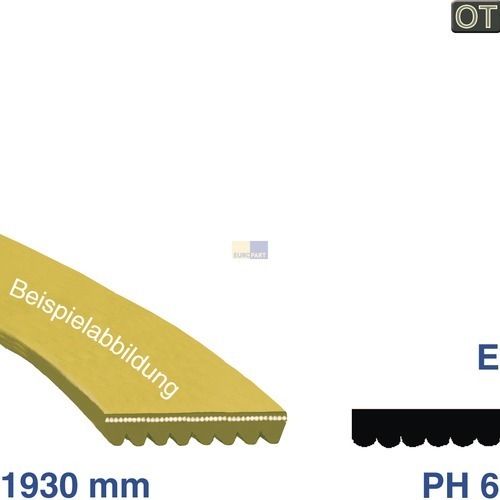 Bild: Keilrippenriemen Beko 2951240100 für Trockner 1930PH6E