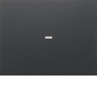 Kontrollwippe Schalter K.1 anth mt