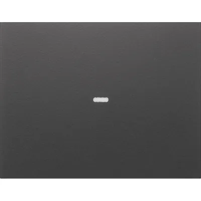 Kontrollwippe Schalter K.1 anth mt