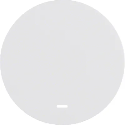 Berker Wippe 16212089 | R.1/R.3 Kontrollwippe | Klar Linse | Schalter/Taster | Kunststoff polarweiß glänzend