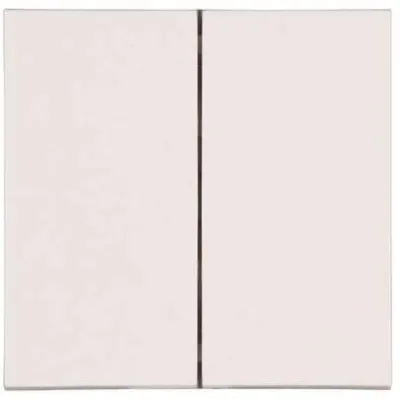 KOPP 490329007 Wippe 2t Schalter HK07 ws glz