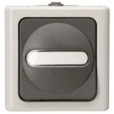 Kopp Universalschalter Aufputz 560656006 | Wechselschalter IP44 Feuchtraum | 250V 10AX | grau
