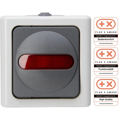 Kopp Kontrollschalter 561656007 | Wechselschalter Aufputz IP44 | beleuchtet | 10AX 250V | Feuchtraum | grau
