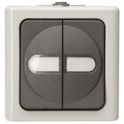 Kopp Serienschalter 560556003 | Aufputz-Feuchtraum | IP44 | 2-fach | 250V | 10AX | Thermoplast | grau