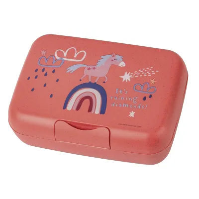 Koziol Lunchbox Dreams mit Trennschale | Brotdose für Kinder & Erwachsene | FSC-Holz | spülmaschinengeeignet