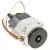 Bild: KW716591 Küchenmaschine-Motor DeLonghi KW716591 230V Motor