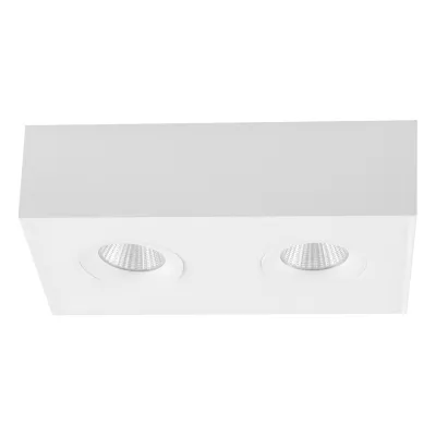 LED Deckenanbau kardanisch - 2 fla.