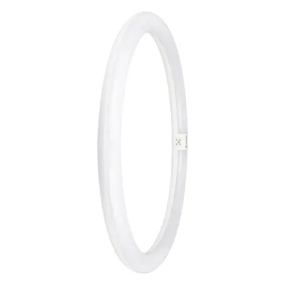 LEDVANCE LED-Ringröhre T9C EM V40 24W 4000K G10q | LED-Röhre Ringform | 2900 lm | 400 mm | neutralweiß | mattiert | weiß