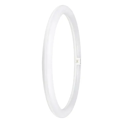 LEDVANCE LED-Ringröhre T9C EM V40 24W 4000K G10q | LED-Röhre Ringform | 2900 lm | 400 mm | neutralweiß | mattiert | weiß