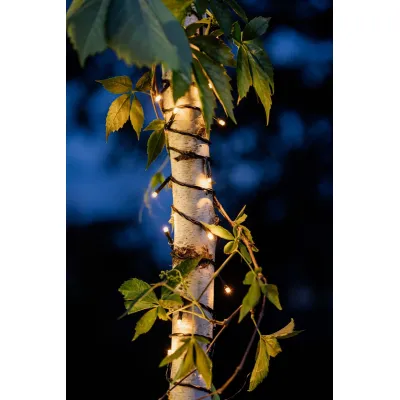 Hellum LED Lichterkette 577297 | 40 LEDs | Außen & Innen | 13,9m | Timer | Weihnachtsbaum | warmweiß | grün