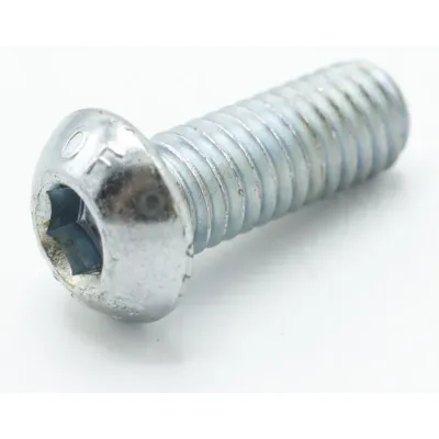 Linsenkopfschraube für Liebherr Kühlschrank 409868100 M6x12 A2K