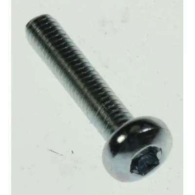 Linsenschraube M4 x 20 DIN 798 für Liebherr Kühlschrank 408490300 Befestigung