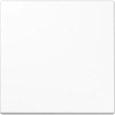JUNG Wippe für Schalter/Taster LS990WW | passend für LS 990 Serie | Duroplast | glänzend | IP44 | alpinweiß