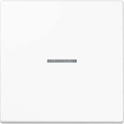 JUNG Wippe LS990KO5WW Kontrollschalter/Taster | Lichtleiter | Duroplast glänzend | IP44 | 70x70mm | alpinweiß