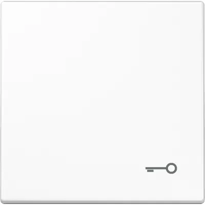 JUNG Wippe LS990TWW für Taster mit Tür-Symbol | Duroplast glänzend | IP44 | Serie LS 990 | alpinweiß