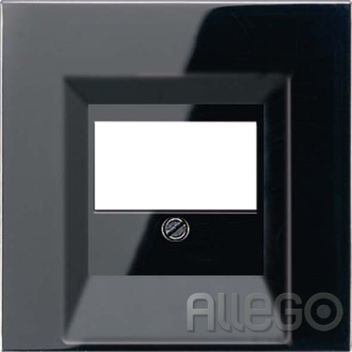 Bild: LS/sw TAE-Zentralabdeck. LS990/schwarz