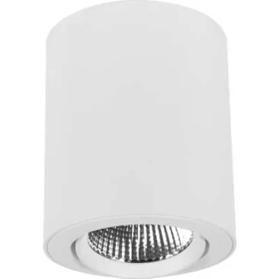 LTS Licht. LED-Anbau-Downlight 2700K 50 w BTN-A 302.27.50 ws