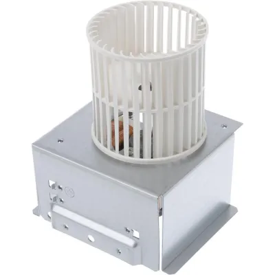 Lüftermotor Cooling fan assembly 12034285