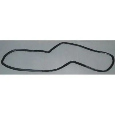 MAIN OVEN _O_ SEAL 255440138 Beko